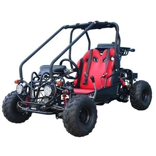 Taotao GK110 Kids Gas Go Kart Dune Buggys