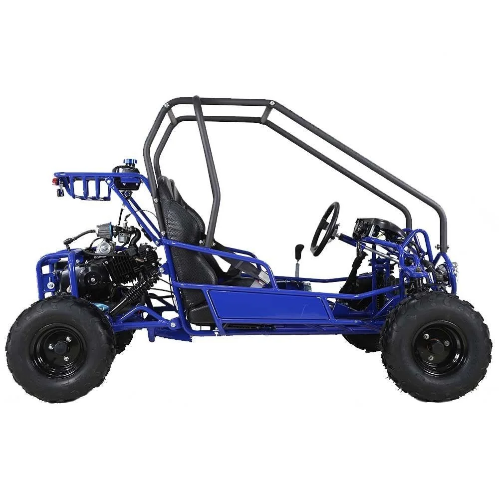 Taotao GK110 Kids Gas Go Kart Dune Buggys