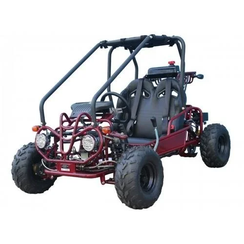 Taotao GK110 Kids Gas Go Kart Dune Buggys
