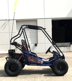 Trailmaster Mini XRX+ 2- Seater GO-KART EAGLE SERIES 163cc Blues